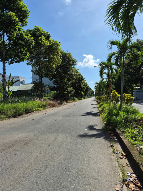Bán nền gấp đường A2, Bùi Quang Trinh KDC Phú An, đoạn đầu KDC, Hưng Phú, Cần Thơ